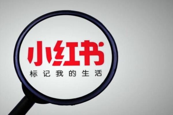 本人已实名的手机号是什么?